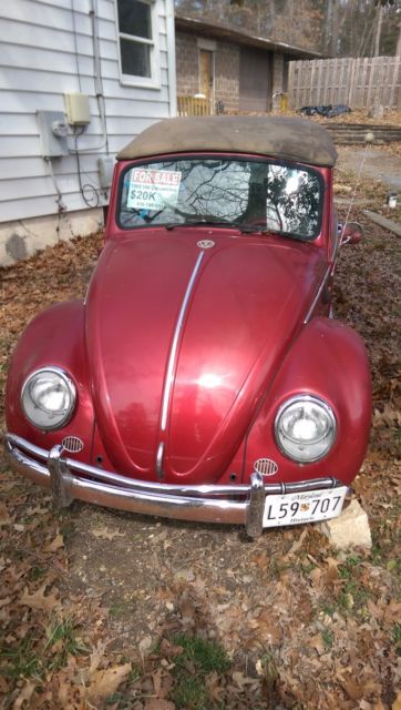 1965 Volkswagen Beetle - Classic Convertible - photo 4