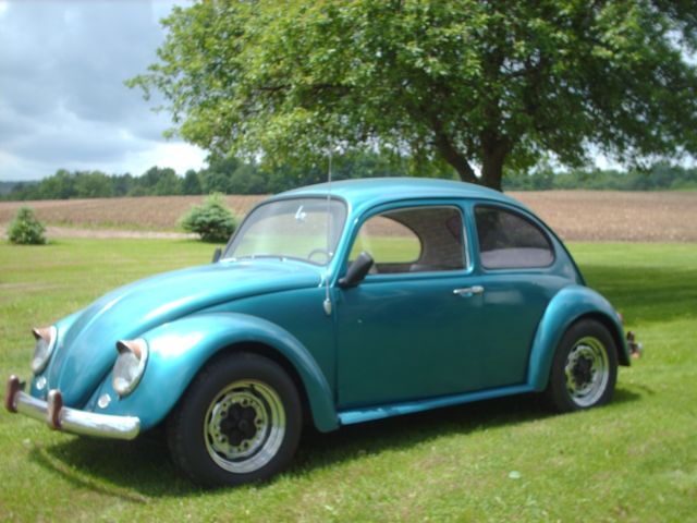 1965 VW Volkswagen Beetle Bug 1965 Volkswagen Beetle - Classic