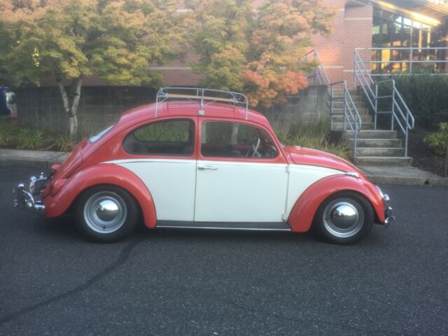 1965 Volkswagen Beetle - Classic - photo 2