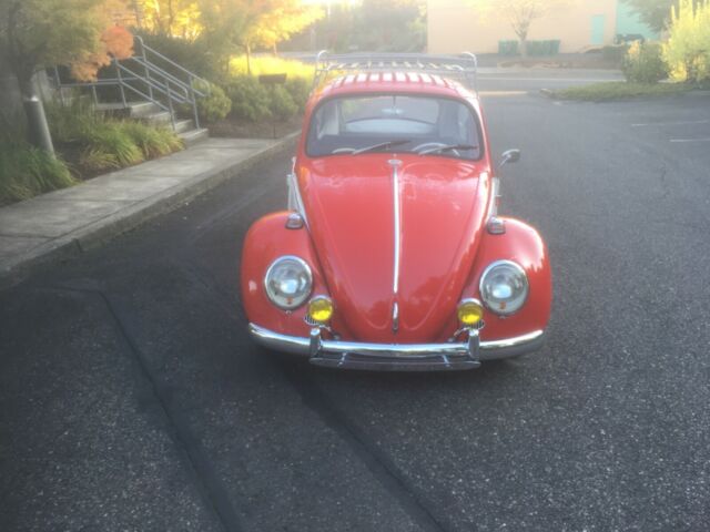 1965 Volkswagen Beetle - Classic - photo 4