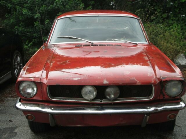 1965.5 MUSTANG V8 289 Stock/MANUAL ULTRA FANTASTIC CREAMPUFF!!! 1965 Ford Mustang