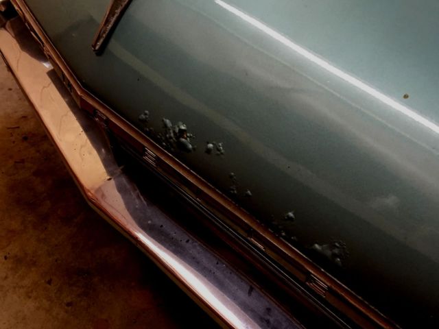 1966 Oldsmobile Cutlass - photo 9