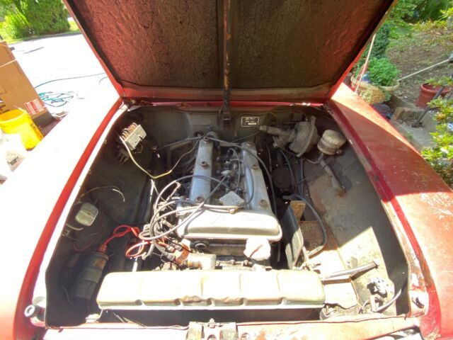 1966 Alfa Romeo Giulia Bollino D’Oro - photo 9