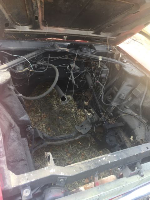 1966 AMC Other - photo 12