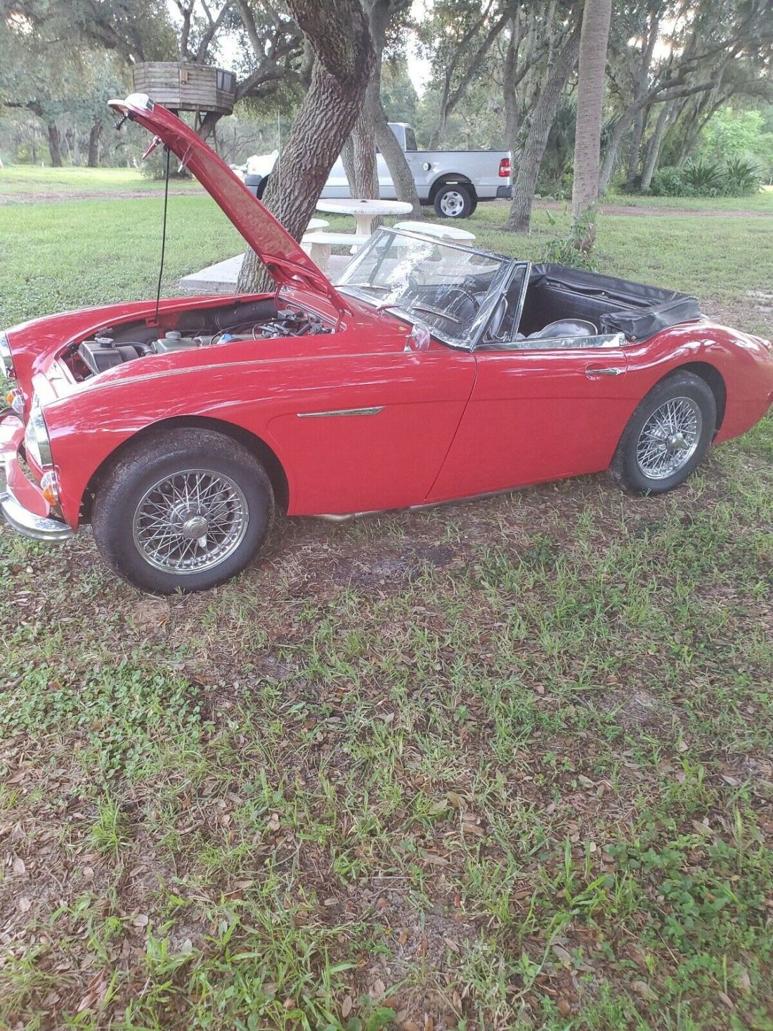 1966 Austin-Healey 3000 Mk III - photo 2