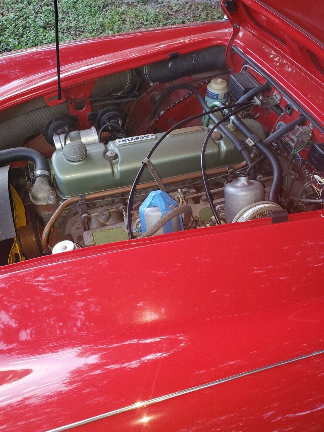 1966 Austin-Healey 3000 Mk III - photo 4