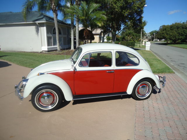 1966 Volkswagen Beetle - Classic RED - photo 2