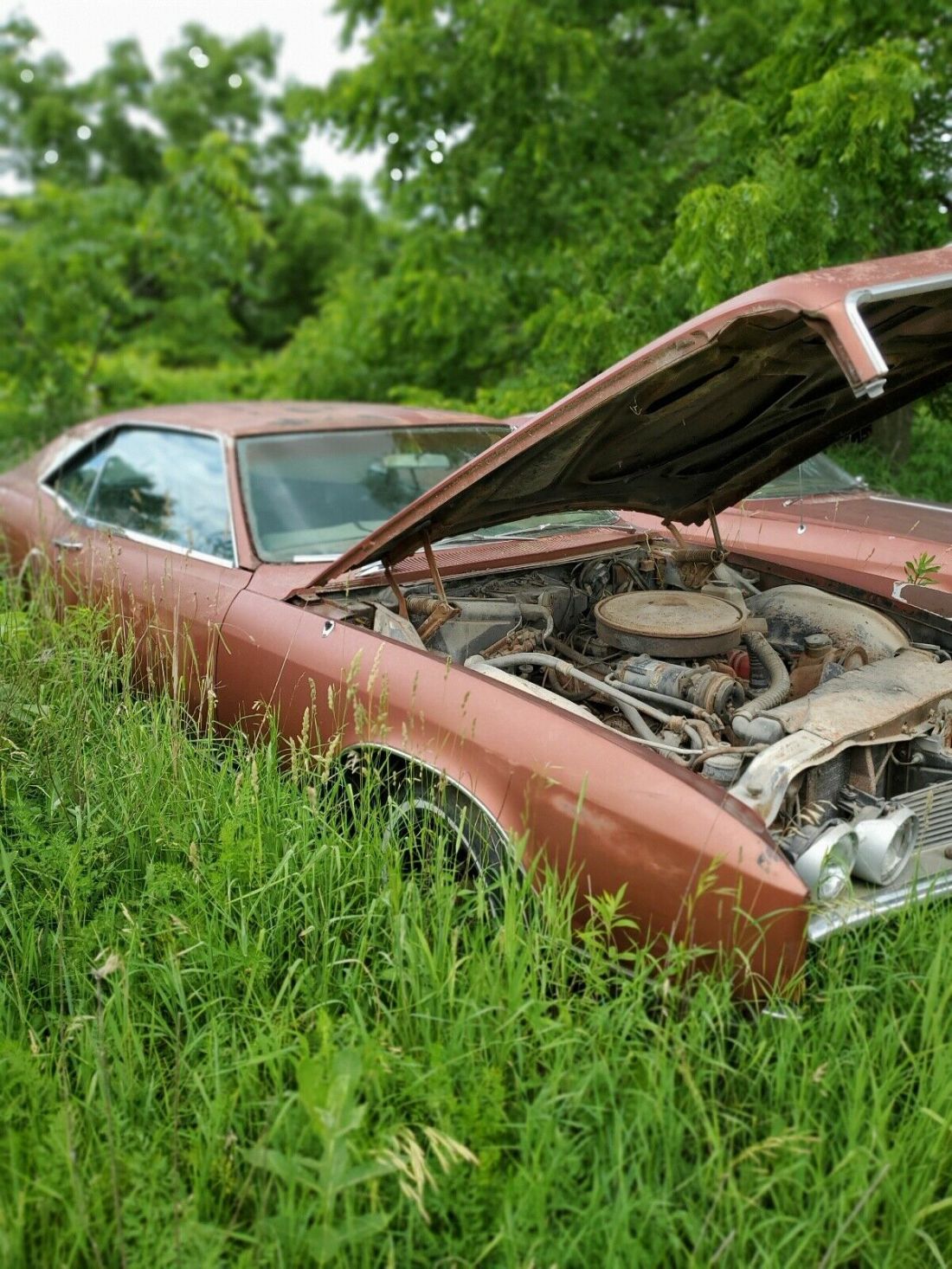 1966 Buick Riviera - photo 10