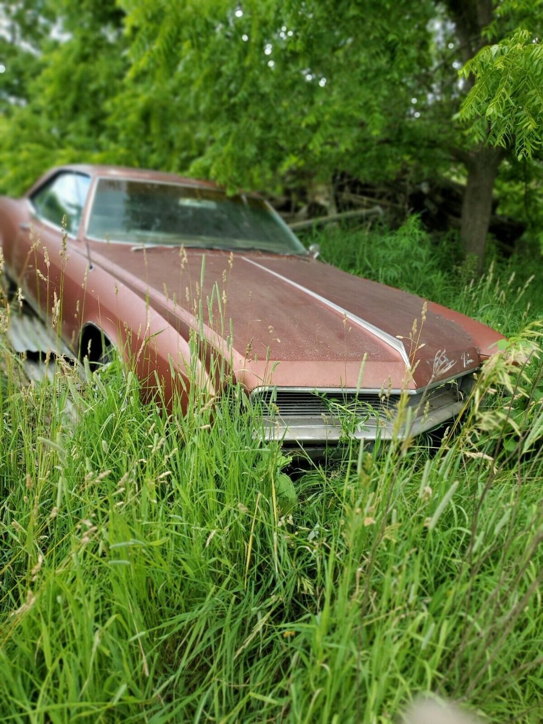 1966 Buick Riviera - photo 8