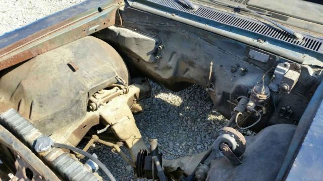 1966 Chevrolet Chevelle SS - photo 5