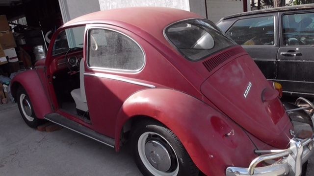 ***1966 classic beetle Volkswagen. Lovingly stored as a "project car" but .. 1966 Volkswagen Beetle - Classic
