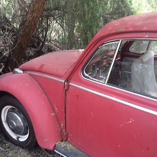 1966 Volkswagen Beetle - Classic - photo 6