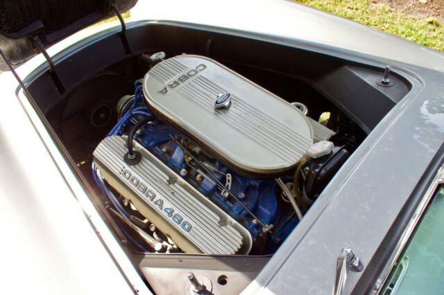 1966 Ford Cobra Roger Upton - photo 10