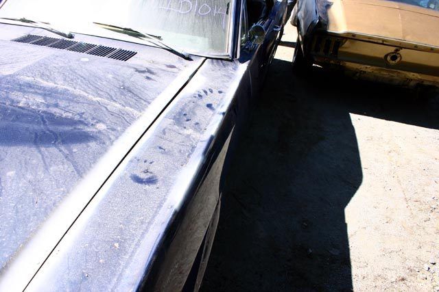1966 Ford Mustang - photo 5