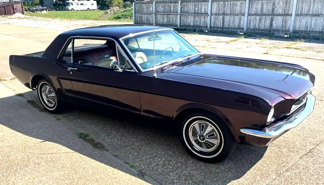 1966 Ford Mustang "C" Code, LOW miles, runs excellent,easy to take to next level 1966 Ford Mustang "C" Code 289-V8! 66k Original miles!