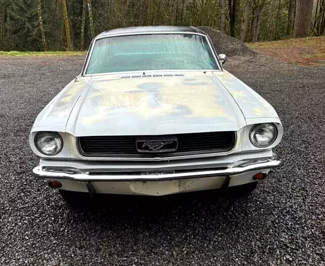 1966 Ford Mustang "C" Code, rare Deluxe Pony Interior, lots of options runs 100% 1966 Ford Mustang "C" Code Coupe!