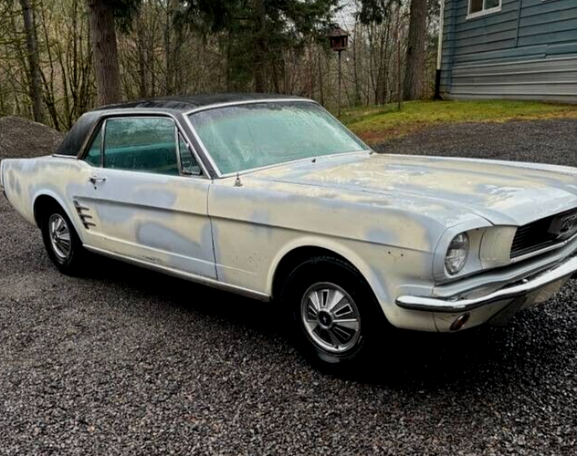 1966 Ford Mustang "C" Code Coupe! - photo 3