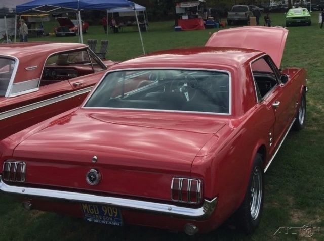 1966 Ford Mustang 2-Door Restored 289ci V8, 5-Speed Manual Transmiss - photo 3