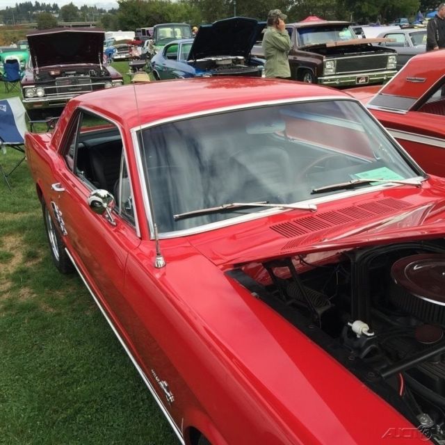 1966 Ford Mustang 2-Door Restored 289ci V8, 5-Speed Manual Transmiss - photo 4
