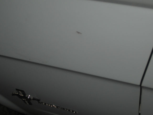 1966 Ford Mustang - photo 11