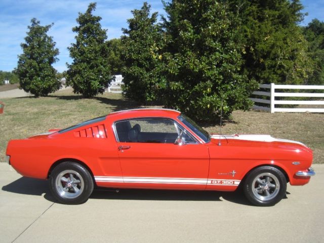 1966 Ford Mustang GT 350 Fastback - photo 2