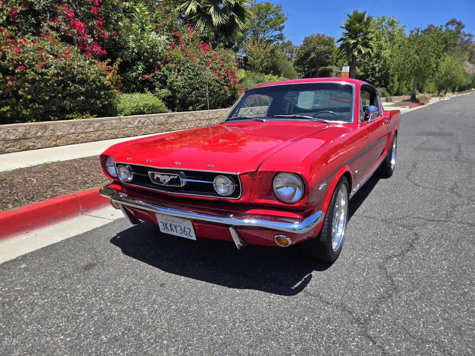 1966 Ford Mustang fastback - photo 10