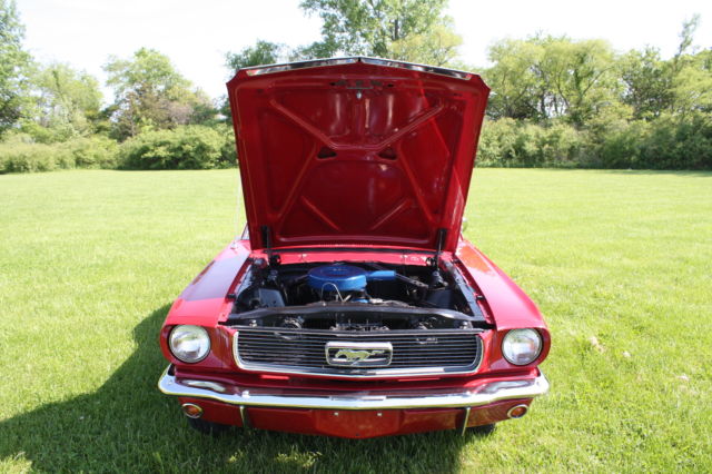 1966 Ford Mustang Base Fastback 2-Door - photo 4