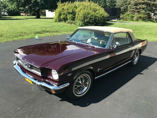 1966 Ford Mustang - photo 2