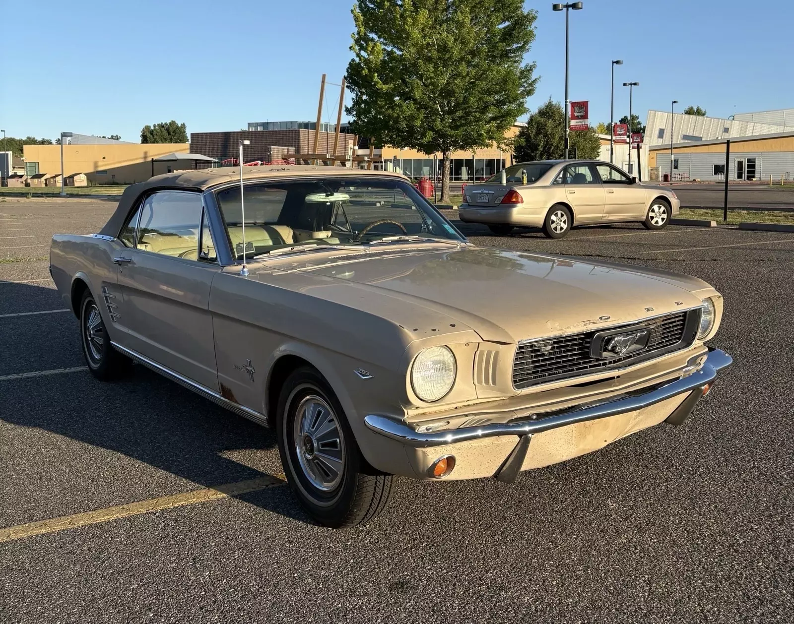 1966 Ford Mustang - photo 2