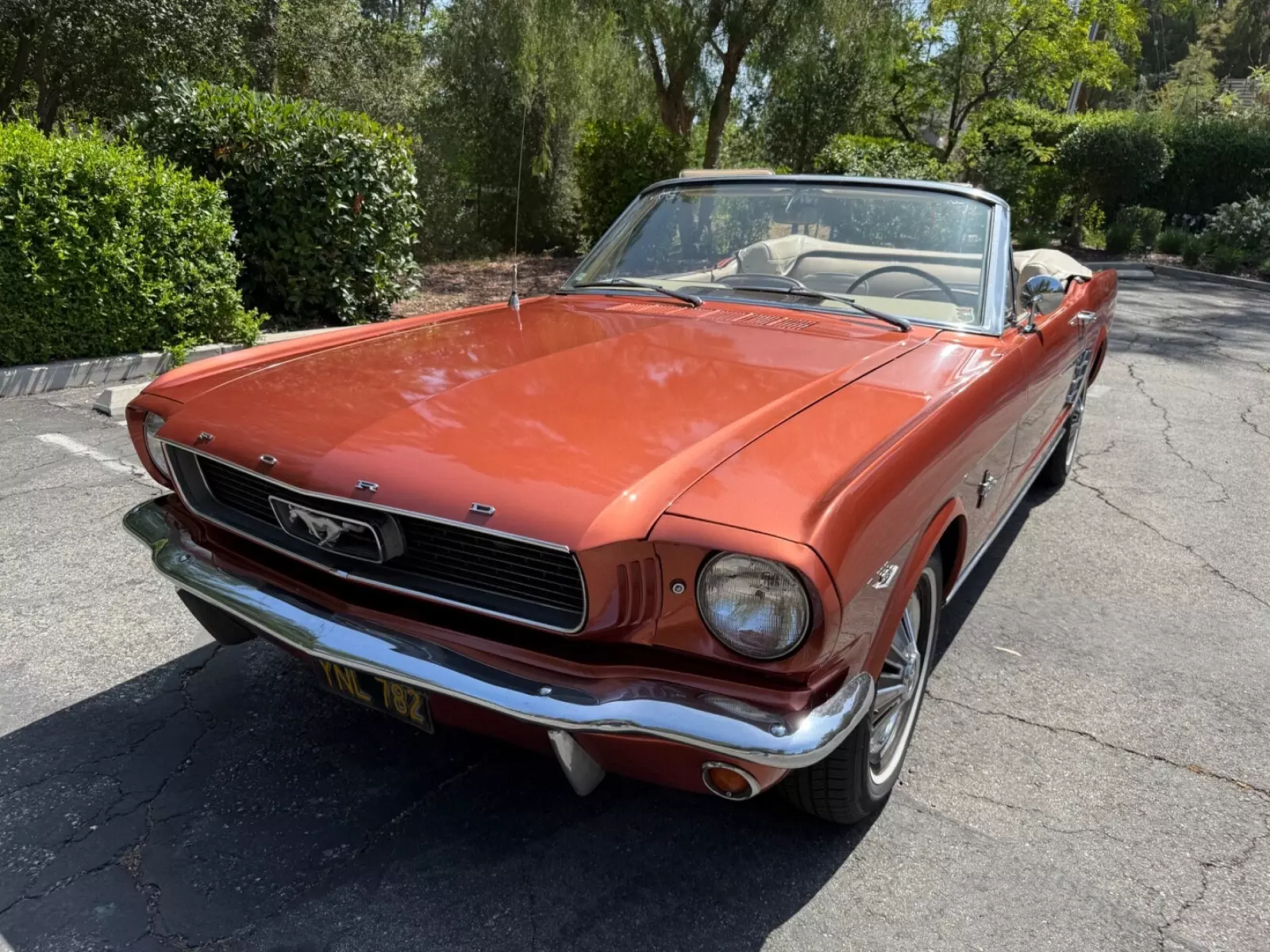 1966 Ford Mustang - photo 9