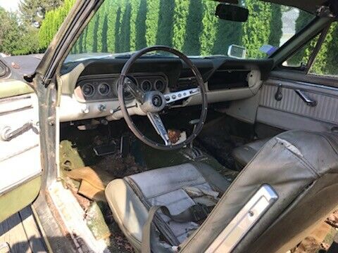 1966 Ford Mustang Deluxe - photo 10
