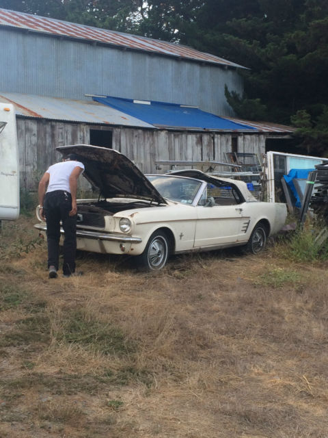 1966 Ford Mustang Convertible, project car in restorable condition 1966 Ford Mustang