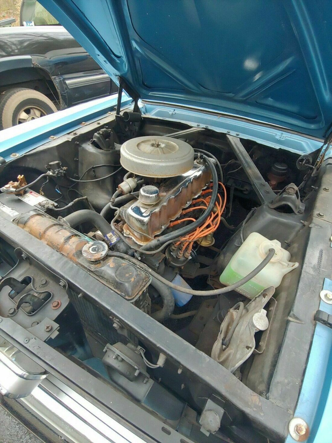 1966 Ford Mustang Standard - photo 7