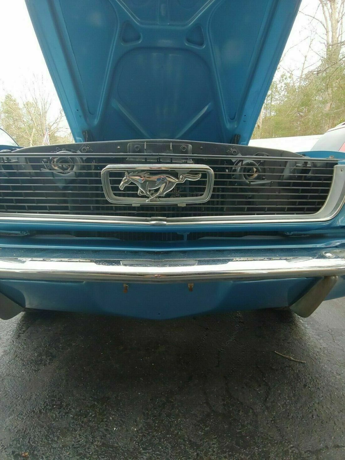 1966 Ford Mustang Standard - photo 8