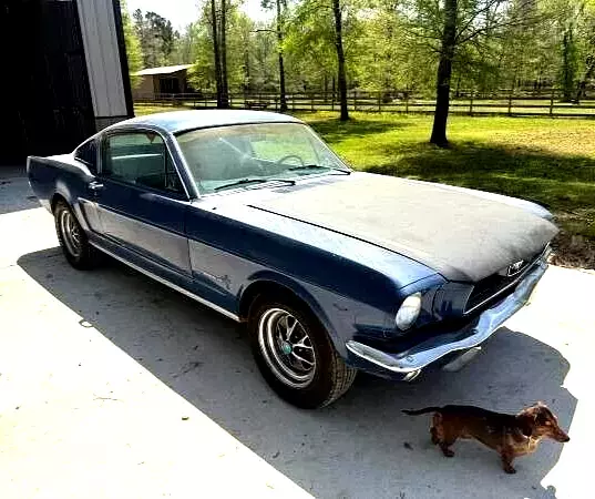 1966 Ford Mustang fastback "C" code 289-V8 original car and engine. Runs good! 1966 Ford Mustang Fastback "C" code 289-V8!
