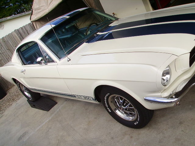 1966 Ford Mustang Fastback 2-Door 289 4 bbl. A/C, PS, Pony Int, Styled Wheels 1966 Ford Mustang GORGEOUS