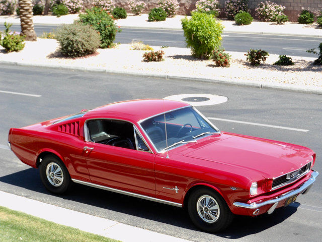 1966 Ford Mustang FASTBACK NO RESERVE - photo 12
