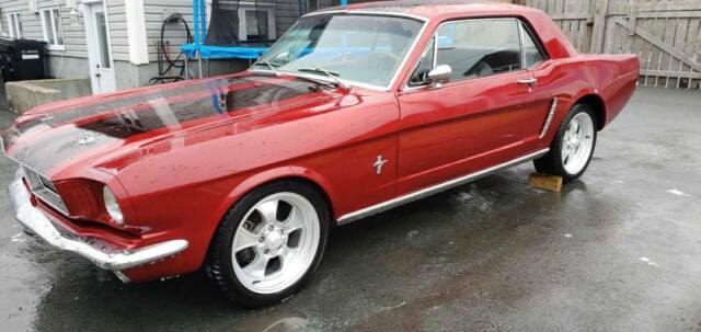1966 Ford Mustang GT 2 Door 5.0L H.O. FULL CUSTOM INTERIOR SHELBY GUAGES W@W!!! 1966 Ford Mustang GT