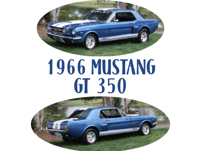 1966 Ford Mustang GT 350 Shelby Cobra Tribute 347 Stroker 5 Speed with cold AC 1966 Ford Mustang