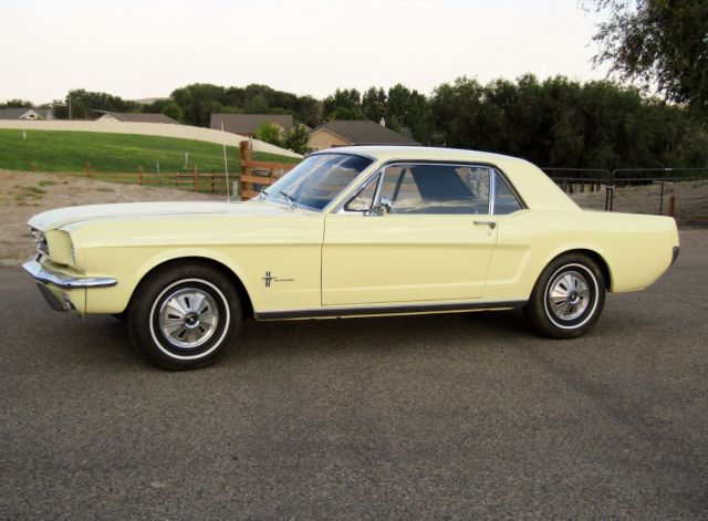 1966 Ford Mustang Special Edition Sprint 200 - photo 4