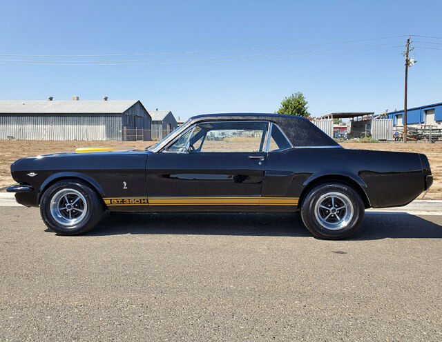 1966 Ford Mustang Shelby GT350H Tribute - photo 5