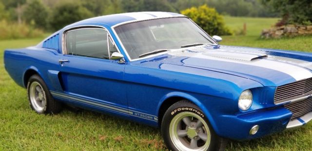 1966 GT350SR Custom Fastback Mustang SHELBY GT350 SR Unique GT 350. not 1965 1966 Shelby