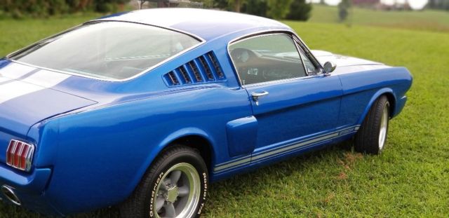 1966 Shelby - photo 5