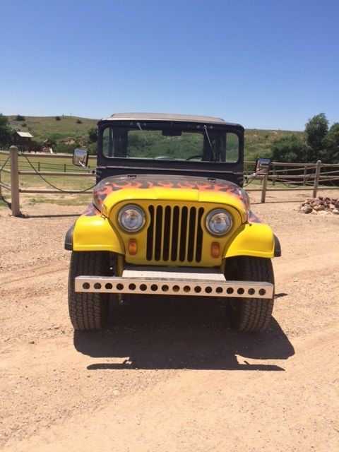 1966 Jeep - photo 2