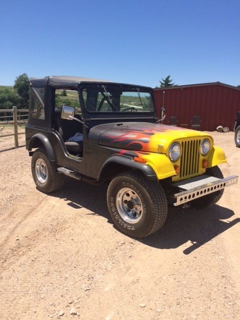1966 Jeep - photo 3