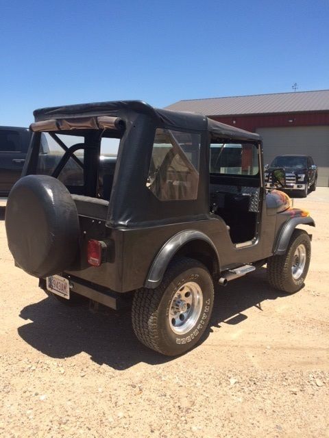 1966 Jeep - photo 7