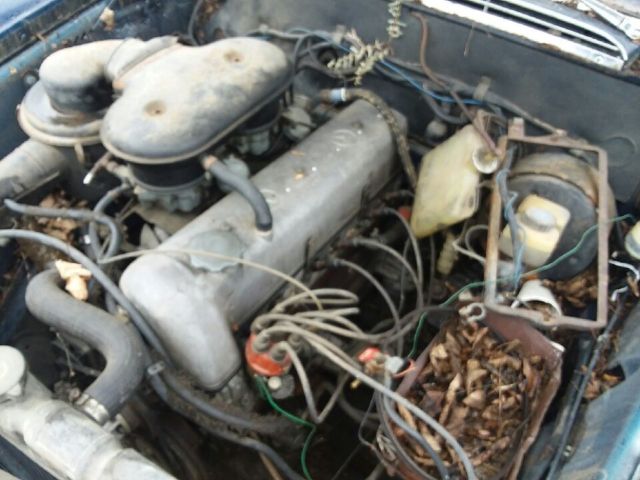1966 Mercedes-Benz 200-Series - photo 8