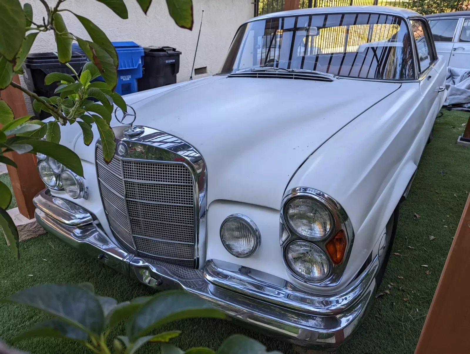 1966 Mercedes-Benz 250SE Sunroof Coupe - photo 2