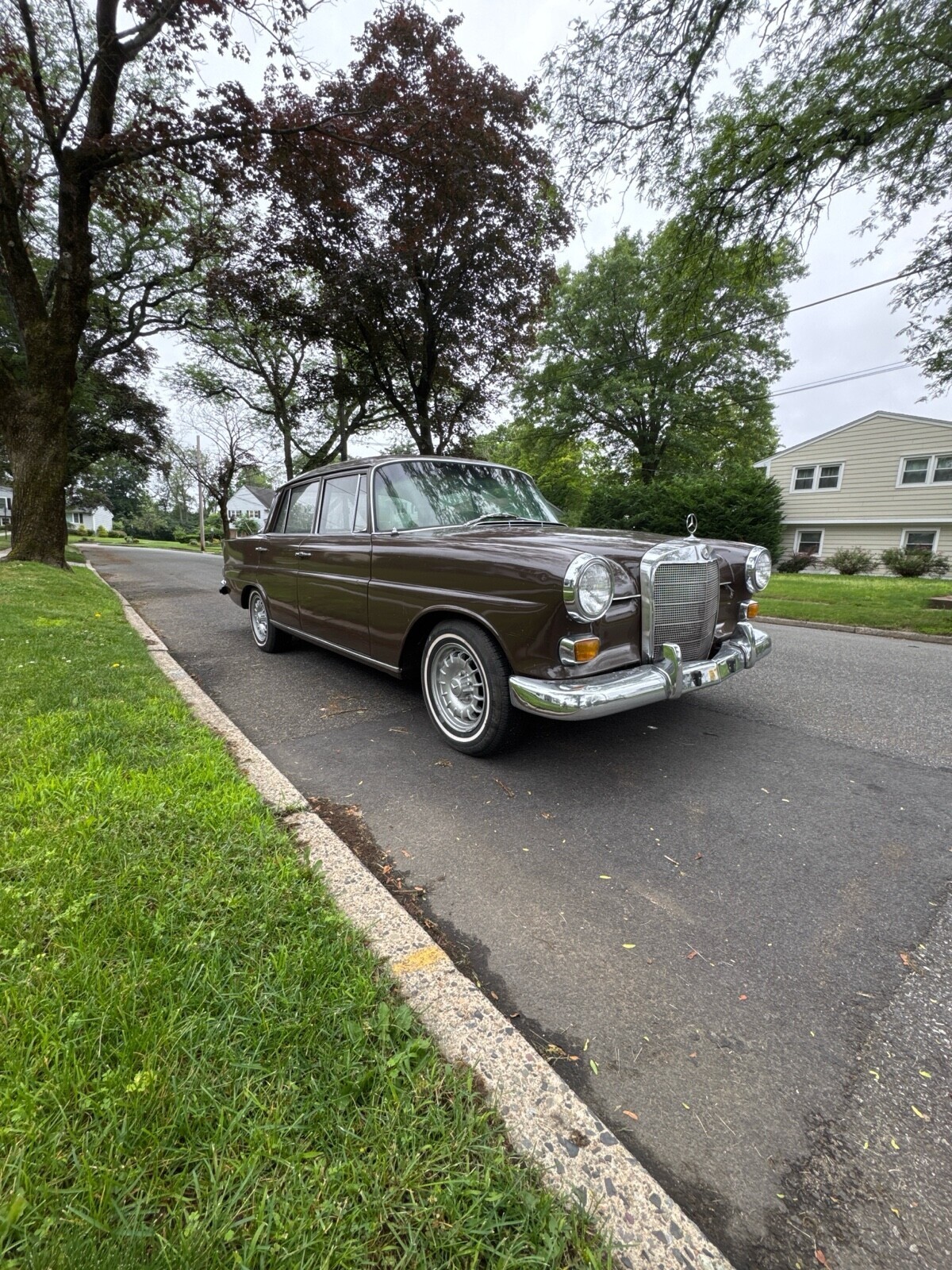 1966 Mercedes-Benz 230 230 - photo 3