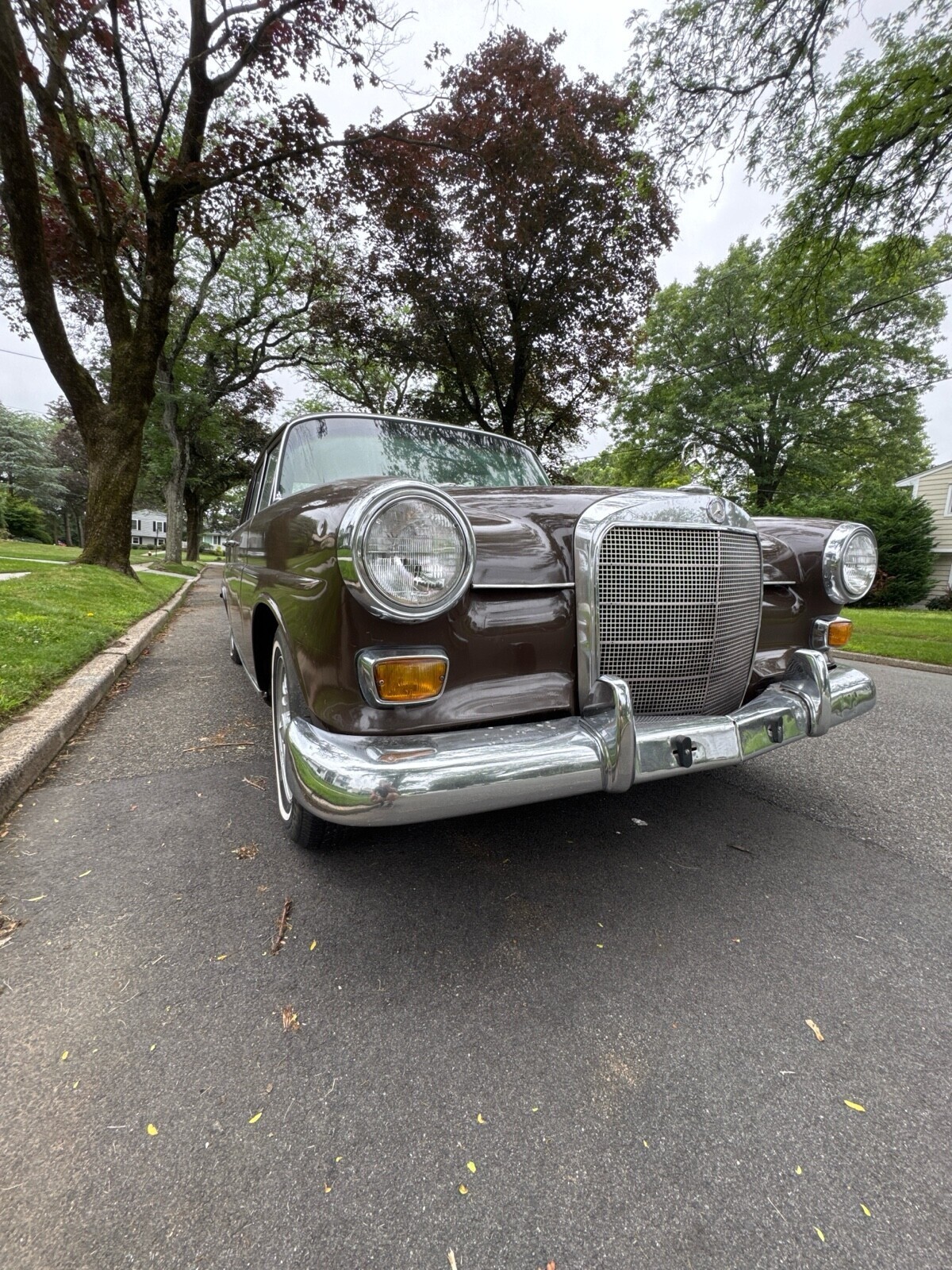 1966 Mercedes-Benz 230 230 - photo 6